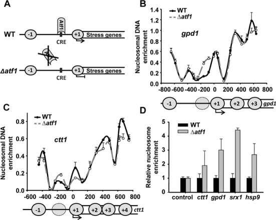 Figure 1.