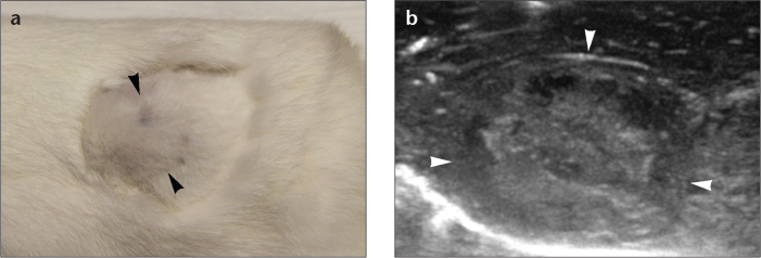 Figure 3. a, b.