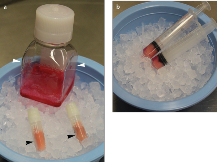 Figure 1. a, b.