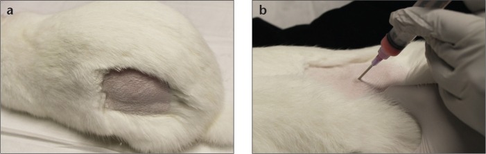 Figure 2. a, b.