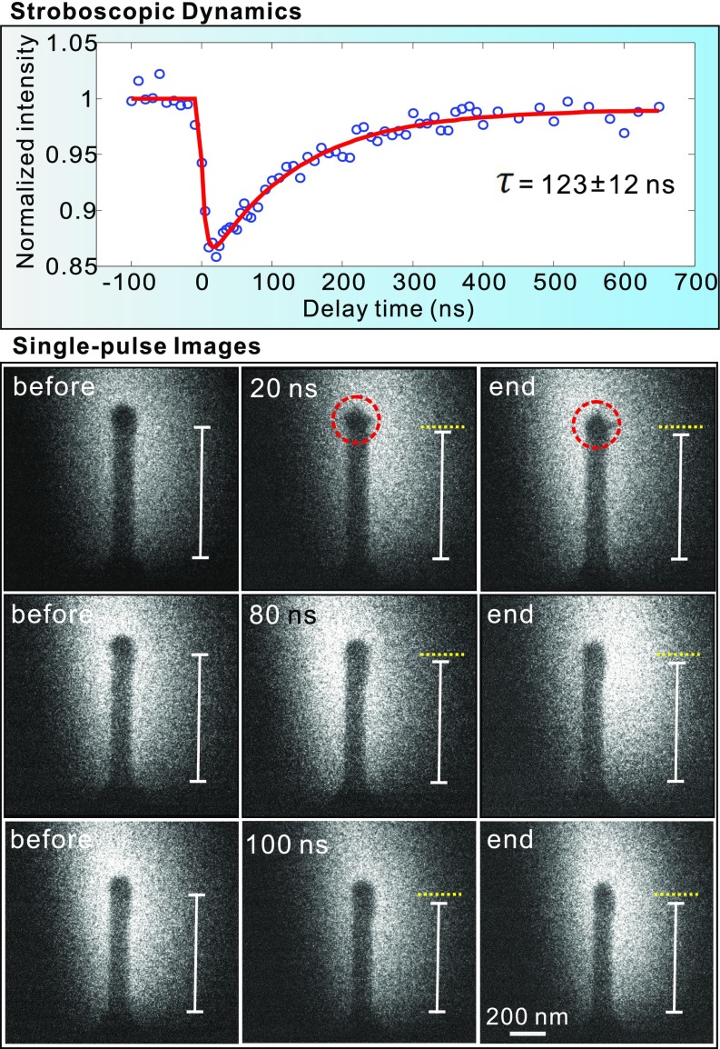 Fig. 4.