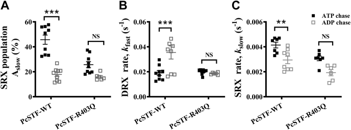 Figure 5