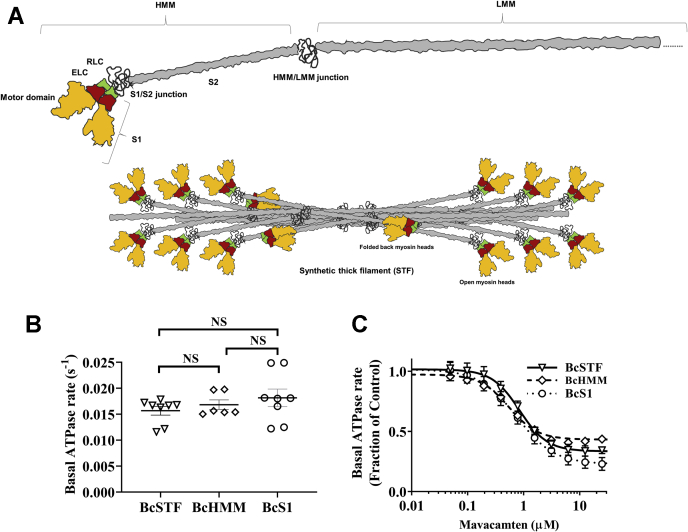 Figure 1