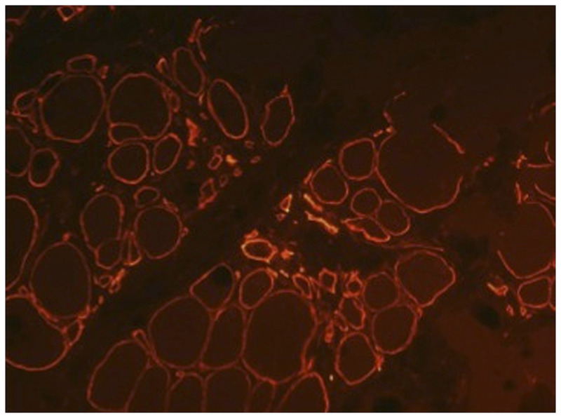 Figure 1-5.