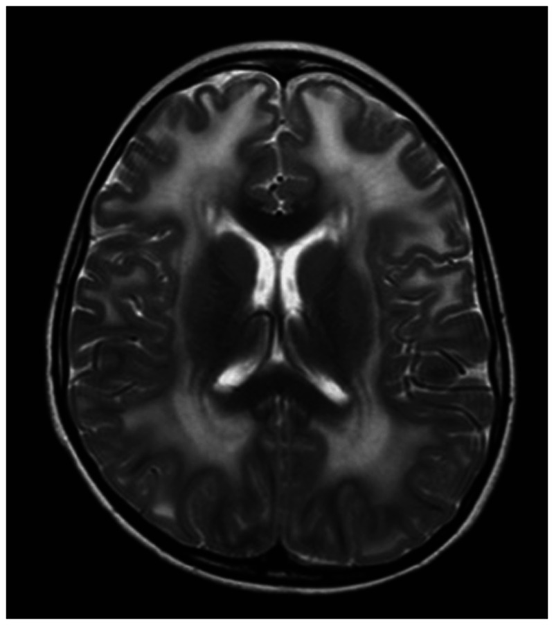 Figure 1-4.