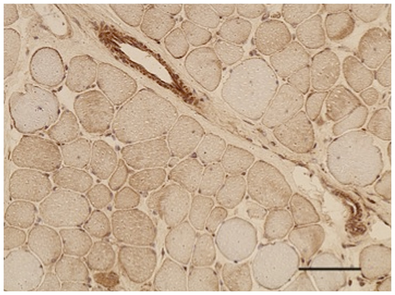 Figure 1-7.