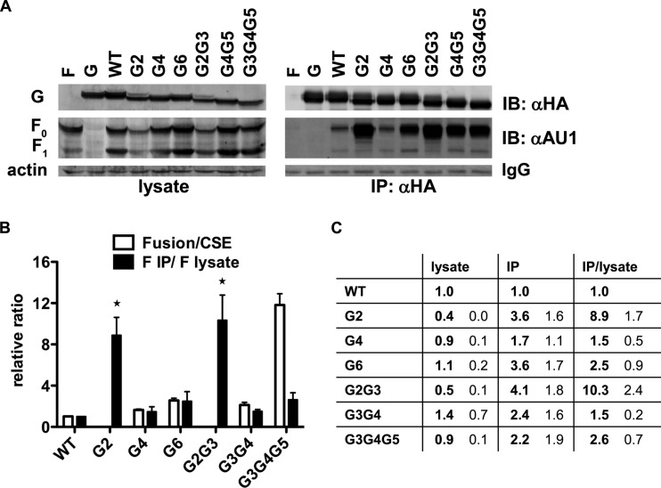 FIG 5