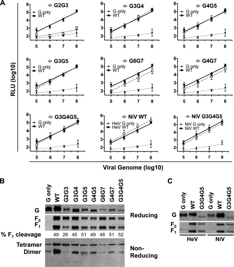 FIG 4