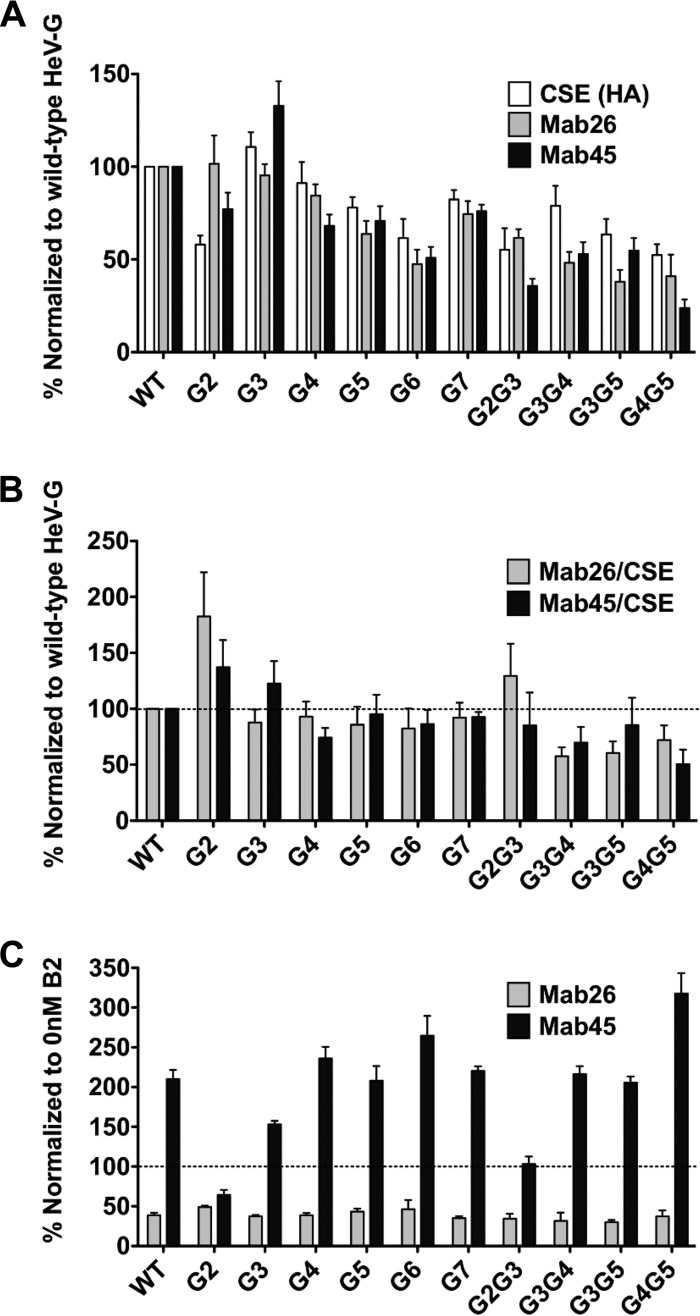 FIG 6