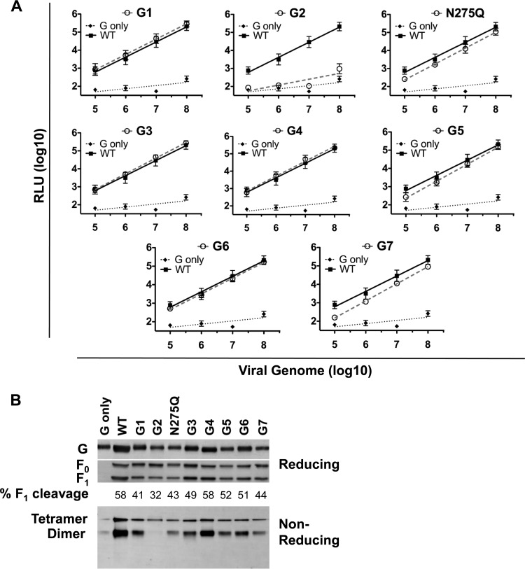 FIG 3