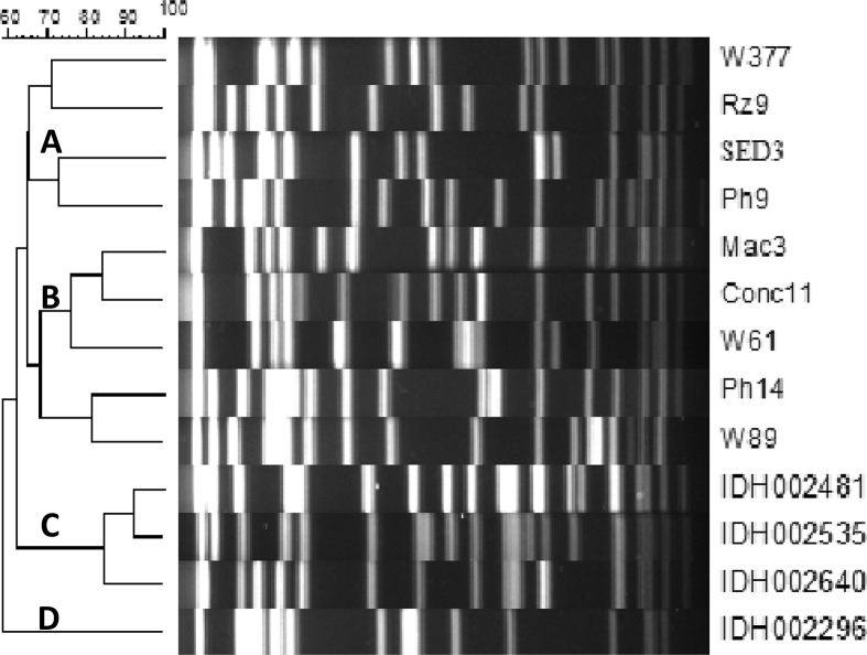 Fig. 1