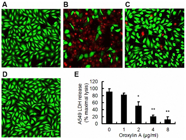 Figure 11