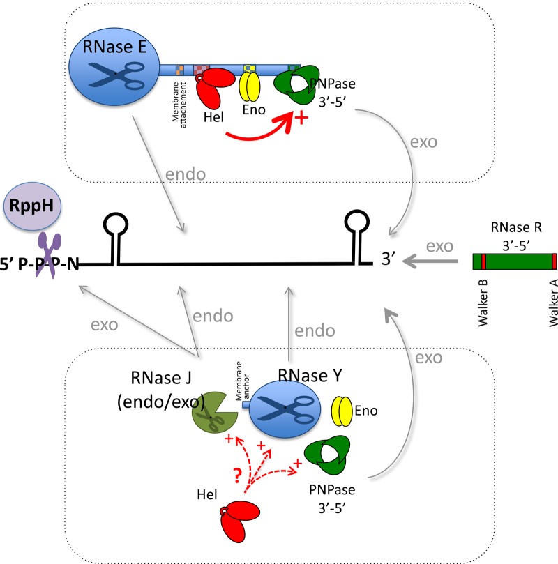 Figure 1.