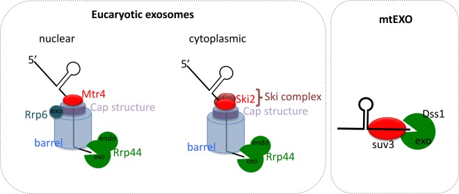 Figure 2.