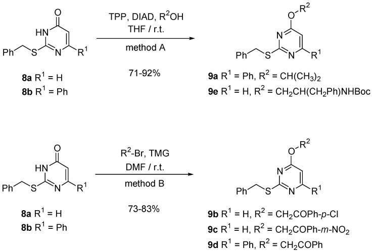 Scheme 4