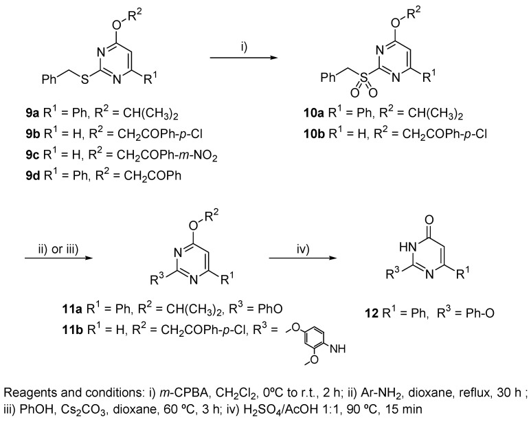 Scheme 5