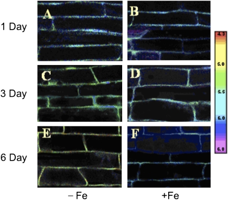 Fig. 2.