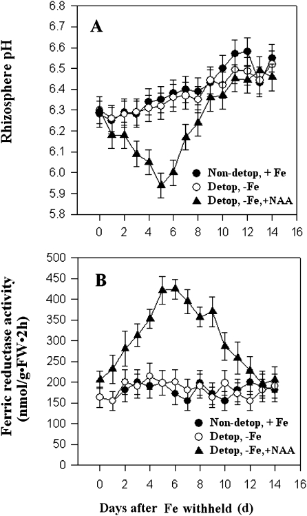 Fig. 5.