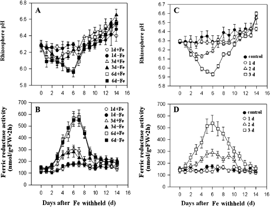 Fig. 3.