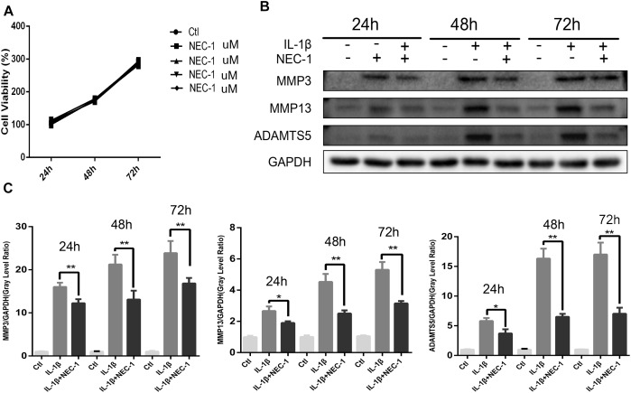 FIGURE 3