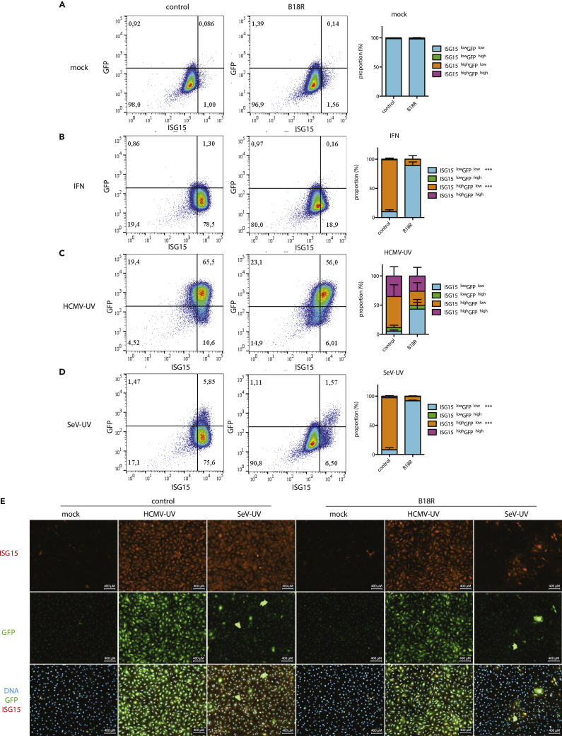 Figure 6