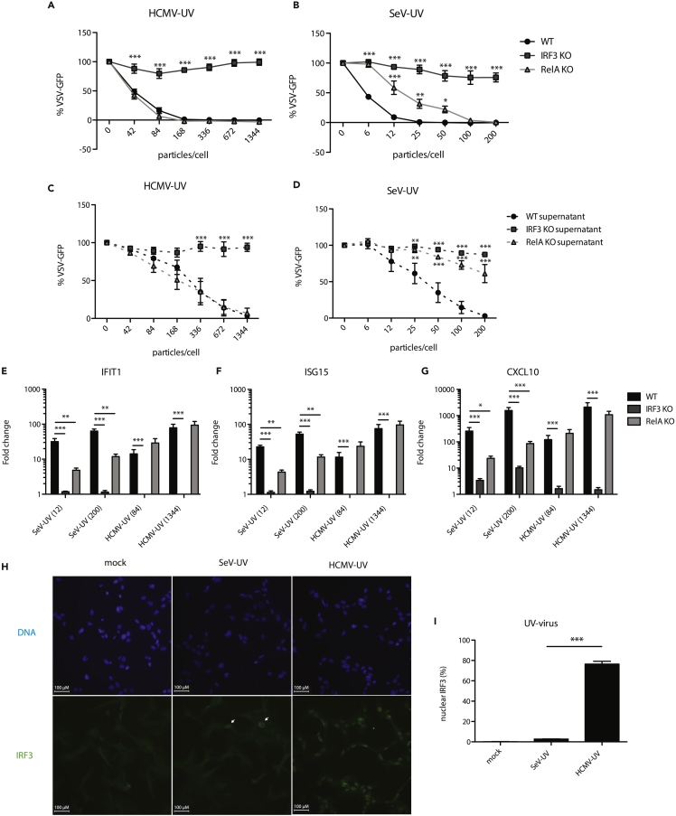 Figure 5