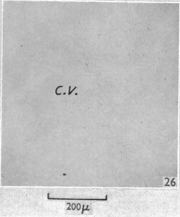 Fig. 26