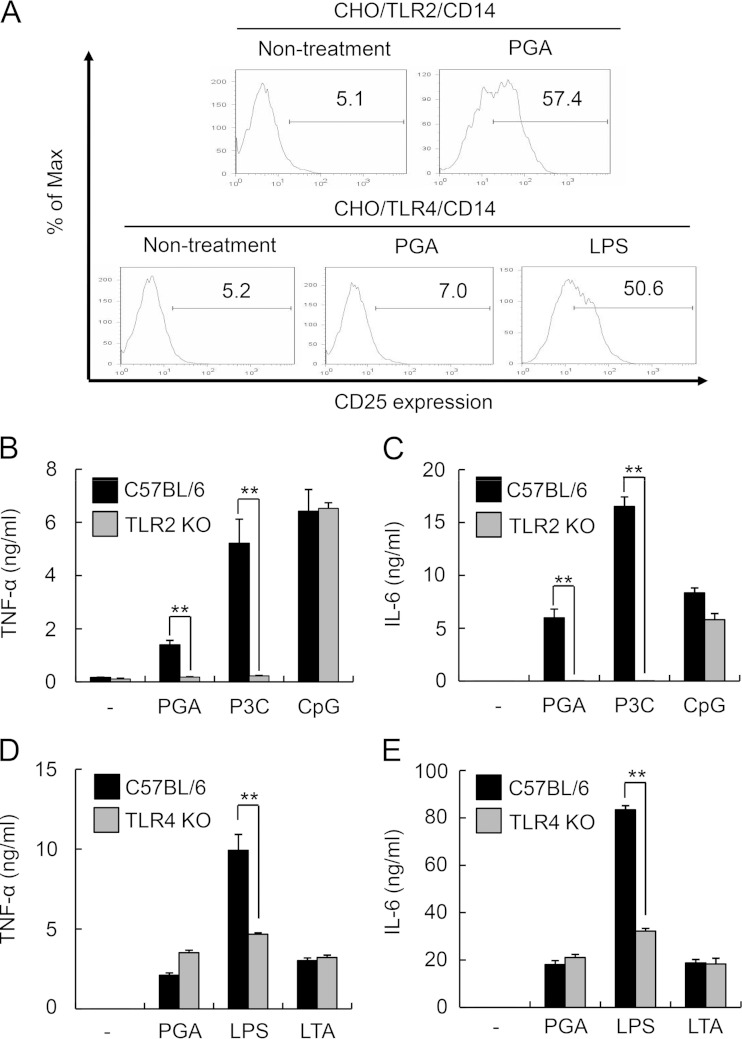 FIG 2