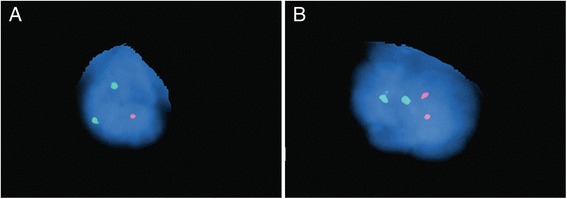 Fig. 5