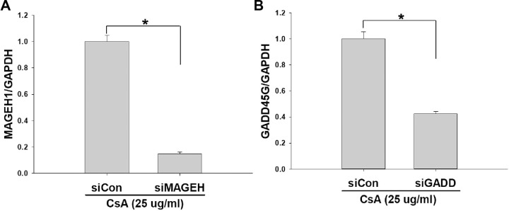 Fig 7