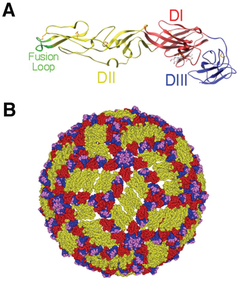 Fig. 1