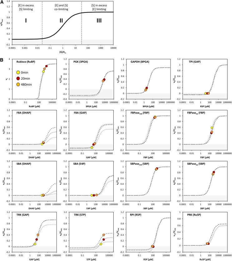 Figure 11.