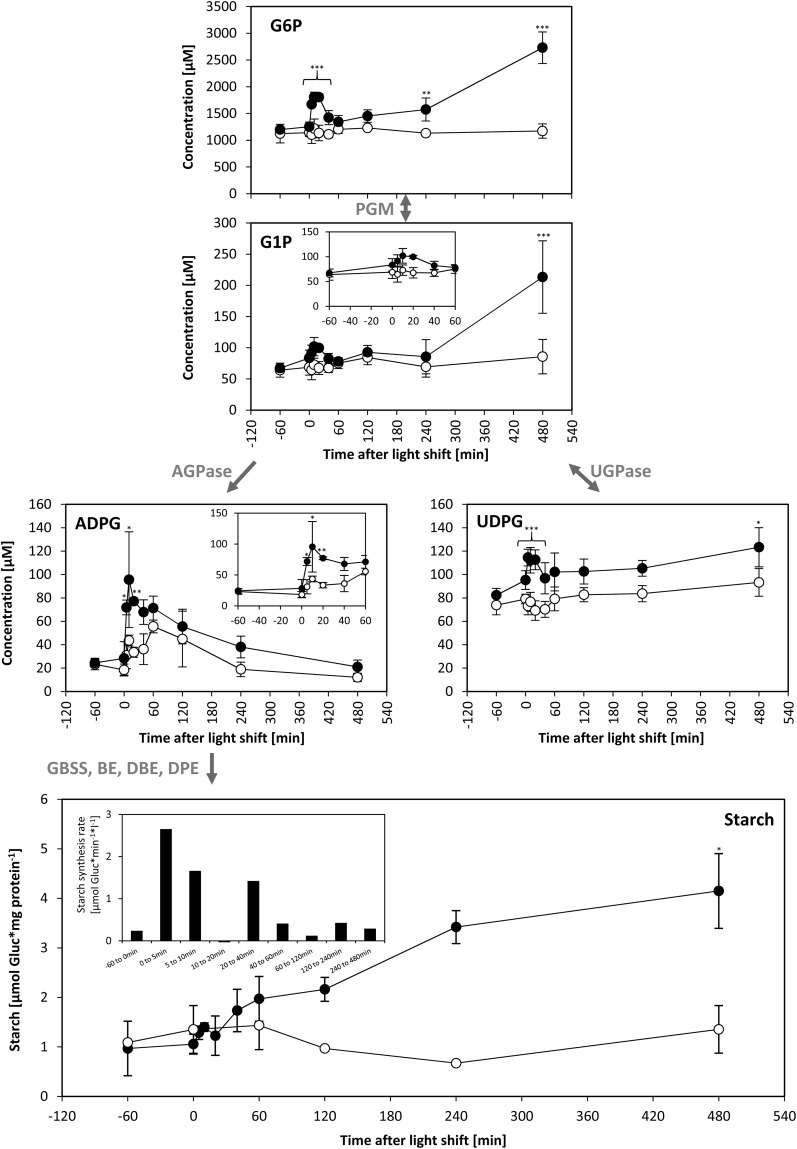 Figure 7.