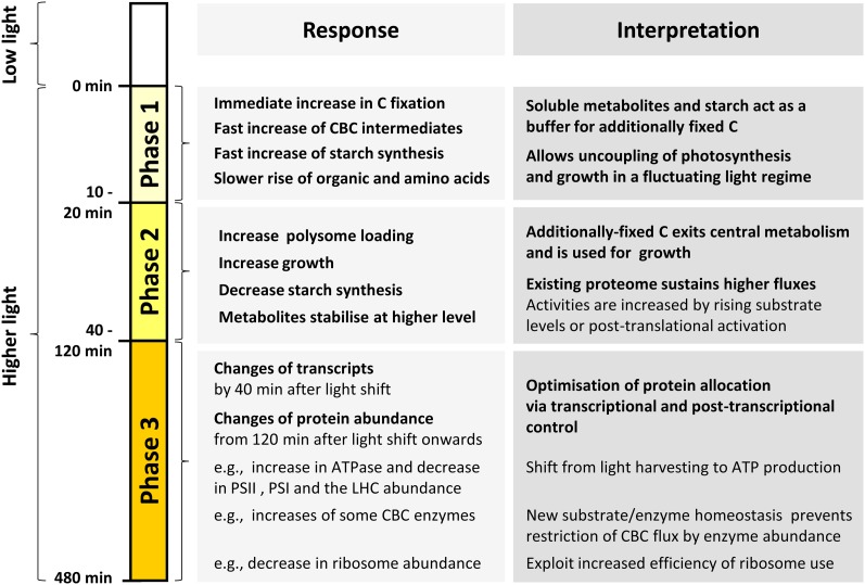 Figure 15.