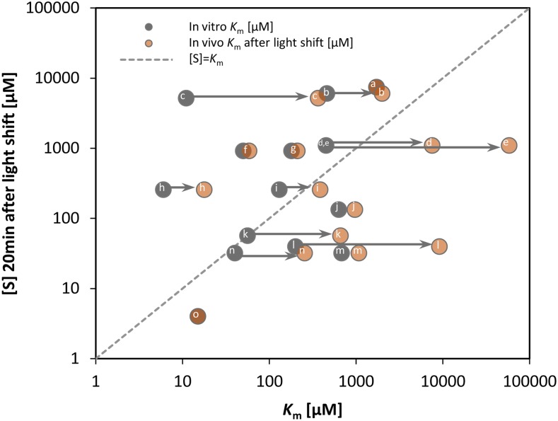 Figure 12.