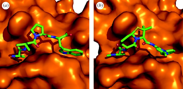 Figure 17.