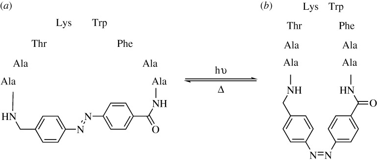 Figure 12.