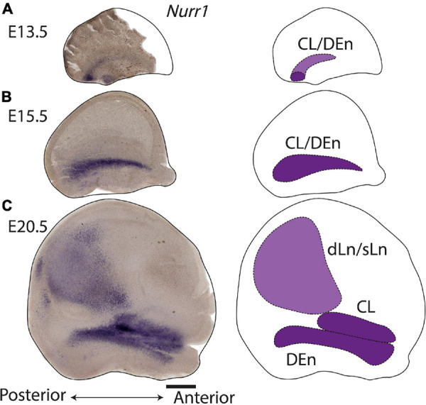 FIGURE 14