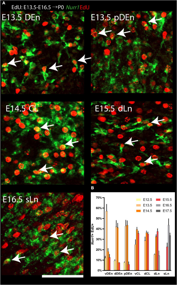 FIGURE 12