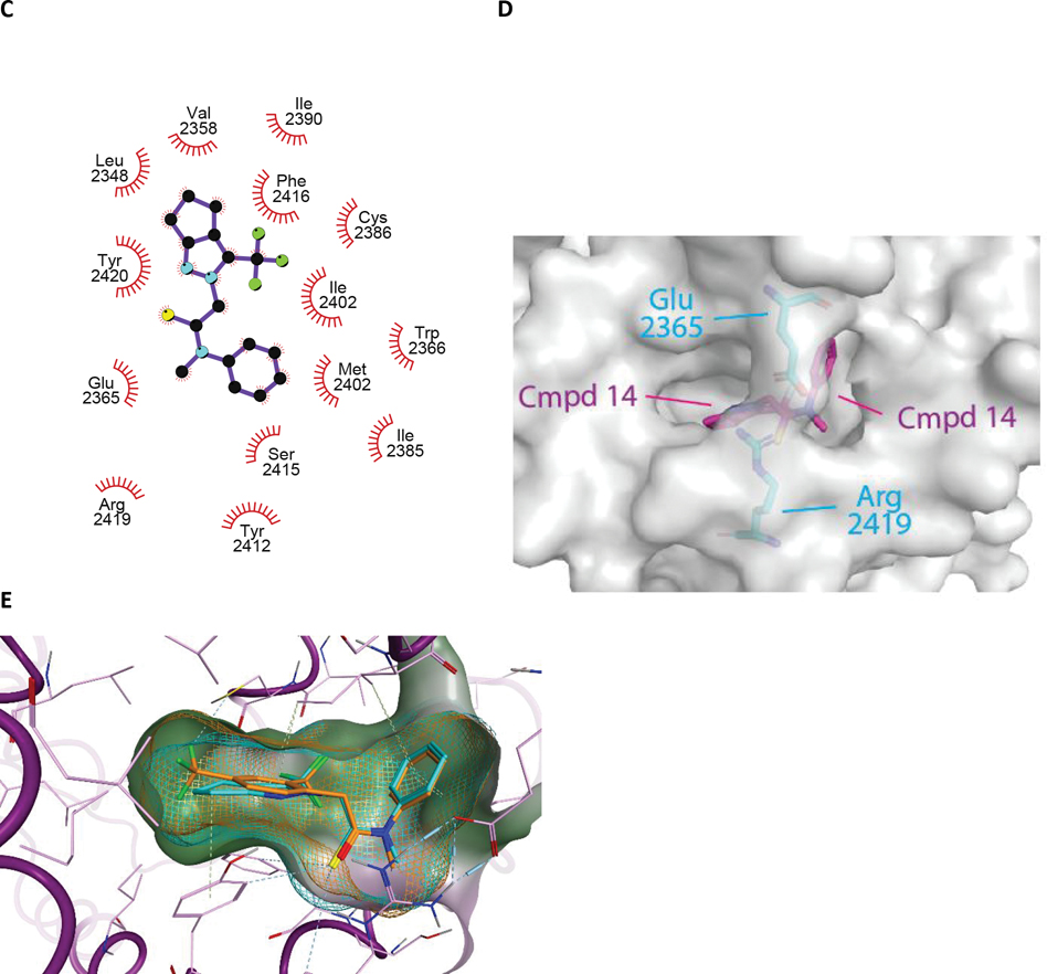 Figure 4.