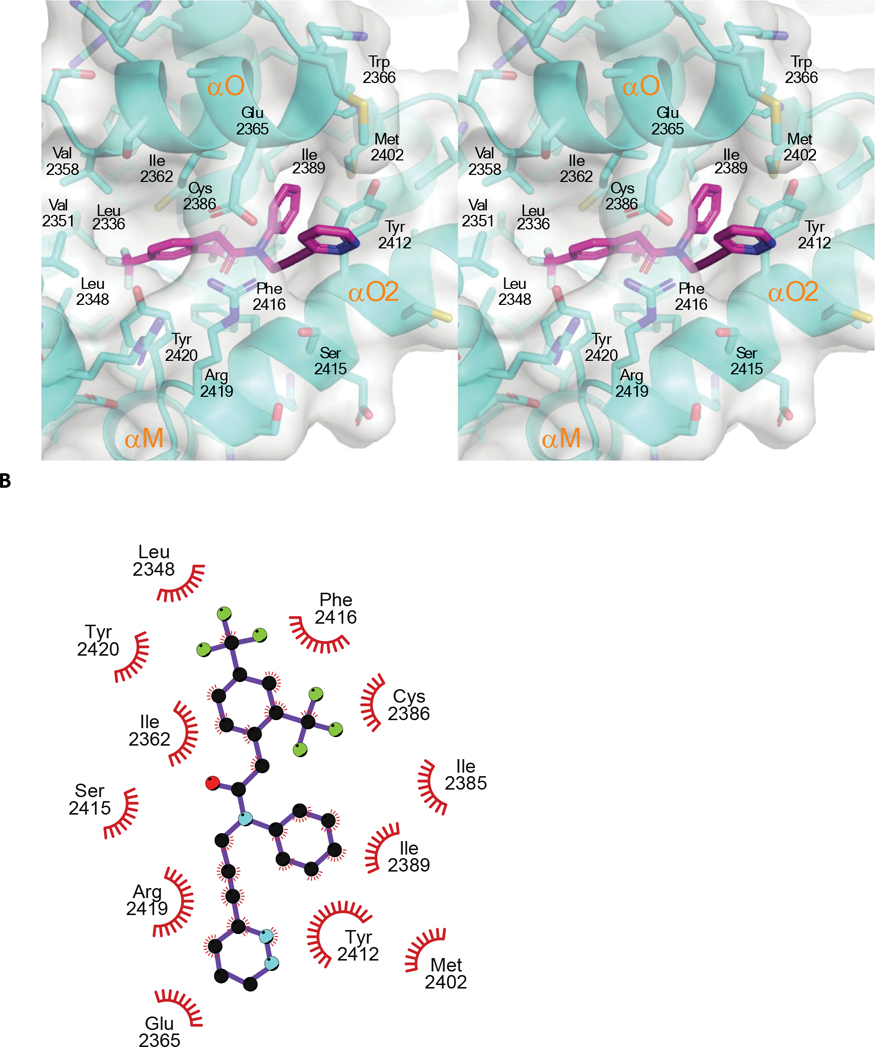 Figure 6: