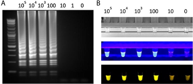 Fig. 3