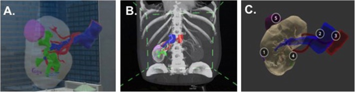 Fig. 7