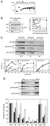 FIG. 6