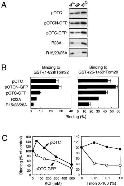 FIG. 7