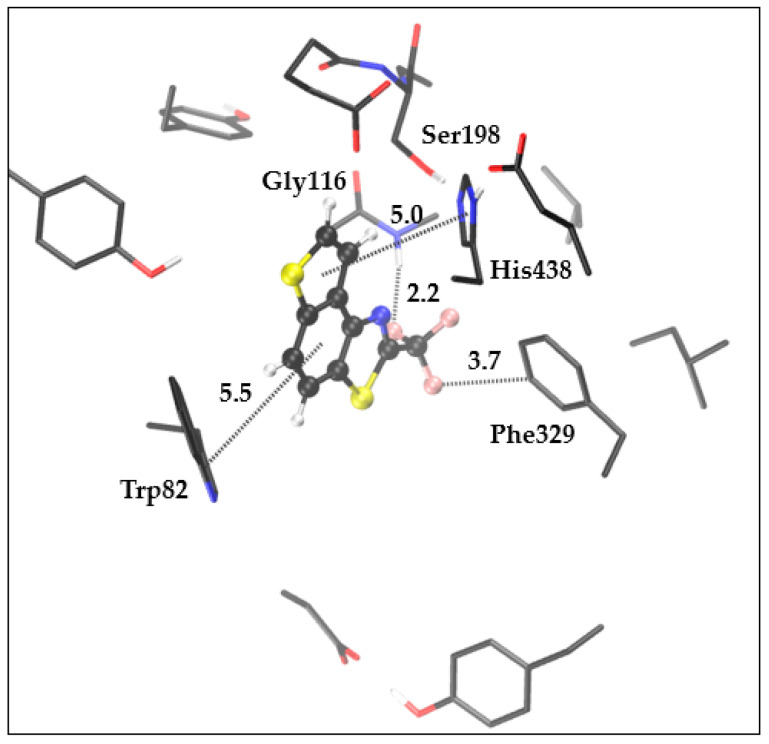 Figure 10