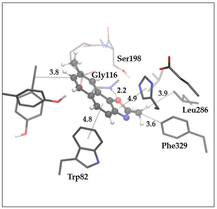 Figure 11