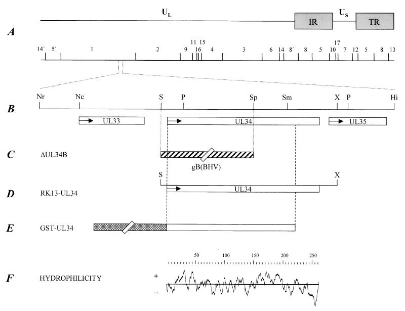 FIG. 1