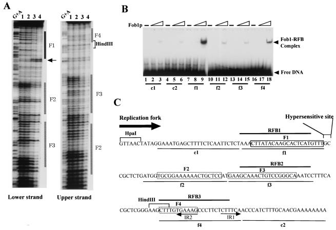 FIG. 5.