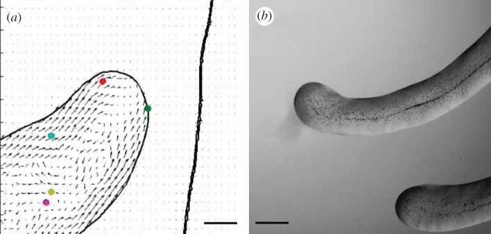 Figure 5.